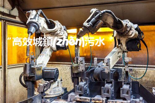 “高效城鎮(zhèn)污水處理流程，守護(hù)碧水藍(lán)天新篇章”